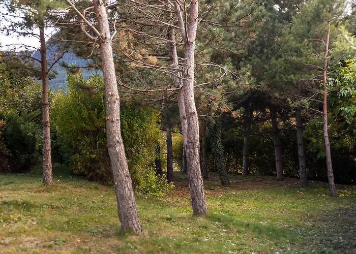 El Refugi De Les Basses Chalet