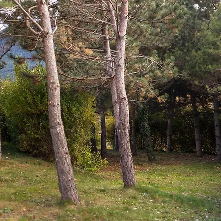 El Refugi De Les Basses Chalet